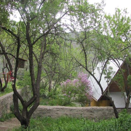 Refugio Coyoacan Villa Guayacan  Екстериор снимка